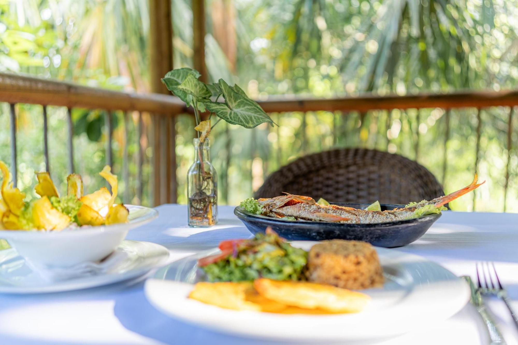 Villa Maria Tayrona, Jungle And Sea Experience Los Naranjos Eksteriør billede