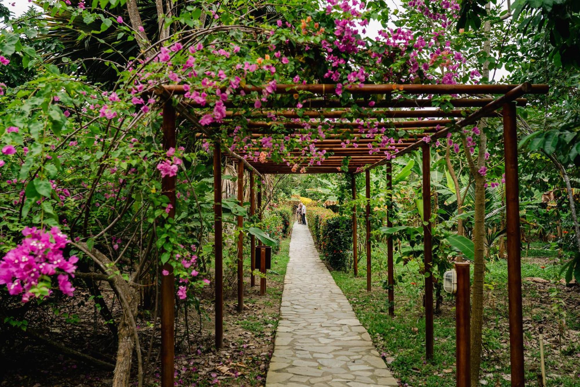 Villa Maria Tayrona, Jungle And Sea Experience Los Naranjos Eksteriør billede